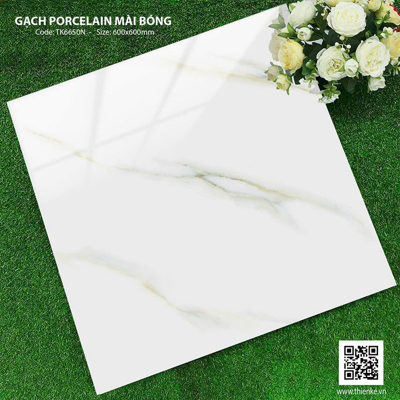 Gạch Porcelain mài bóng 60×60 TK6650N